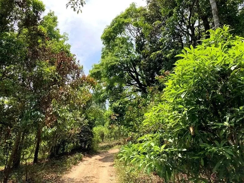 茶山紀(jì)實(shí)：犀牛塘，最近能火是有原因的