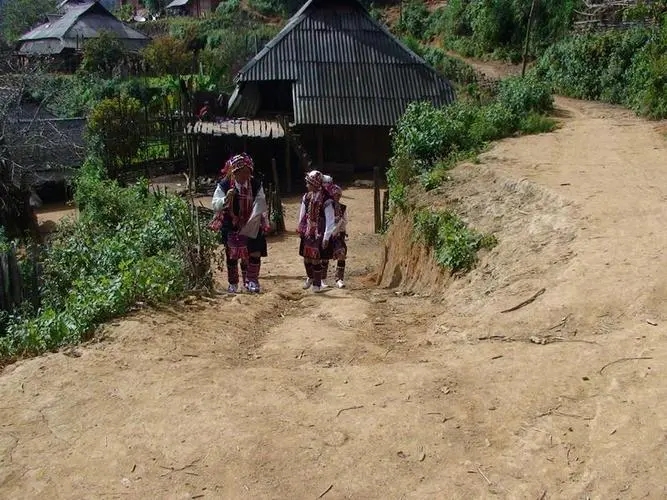 2022年的春天，古樹(shù)味道從犀牛塘開(kāi)始！