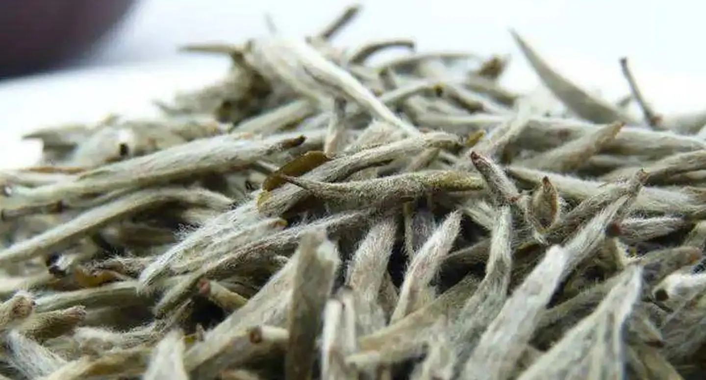 茶毫越多的茶，品質(zhì)就越高嗎？
