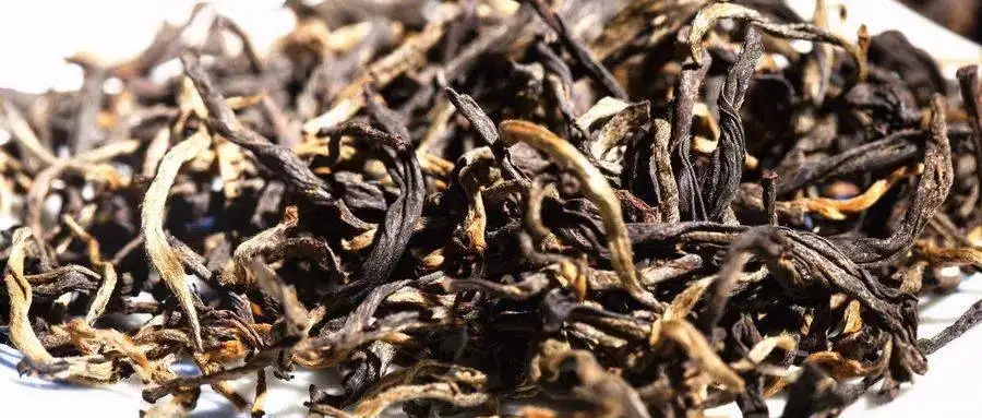 什么是茶氣？茶氣強(qiáng)勁又是一種怎樣的體驗？