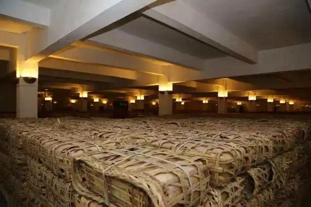 云南古樹普洱茶好在哪？相比小樹茶、臺地茶有何不同？