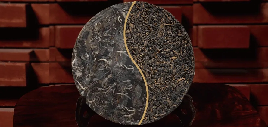 一入普門深似海？入普洱門前，你需要了解這些