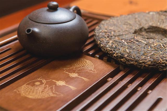 為什么你買不到好的古樹普洱茶？買茶防坑指南，看完就有收獲！