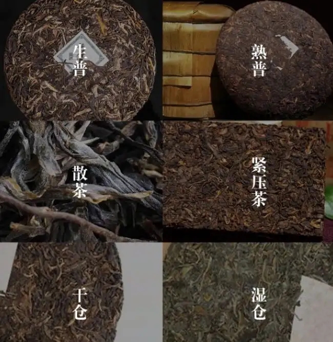 普洱茶不是越陳越香嗎？怎么也有最佳品飲期？