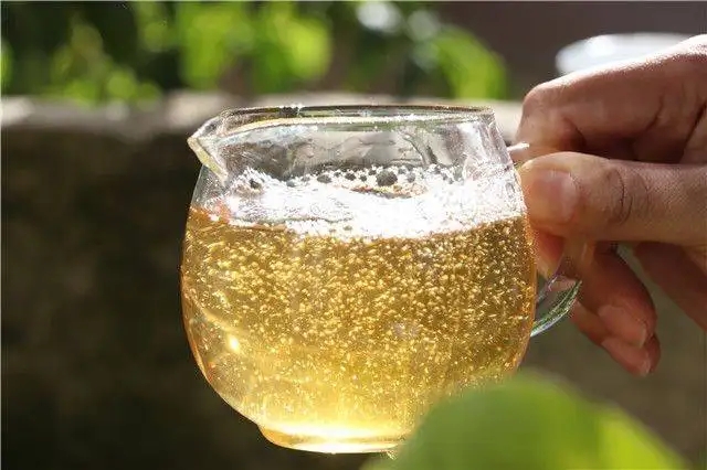 茶顏觀色”，看普洱茶條索里都蘊(yùn)含著怎樣的“密碼”？