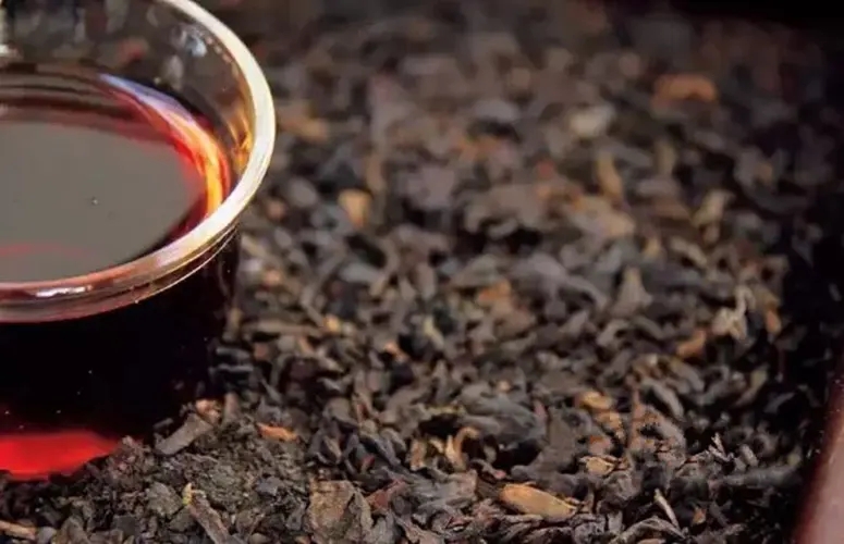 普洱生茶與熟茶那個減肥效果好？