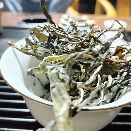 走進(jìn)臨滄勐庫(kù)茶區(qū)