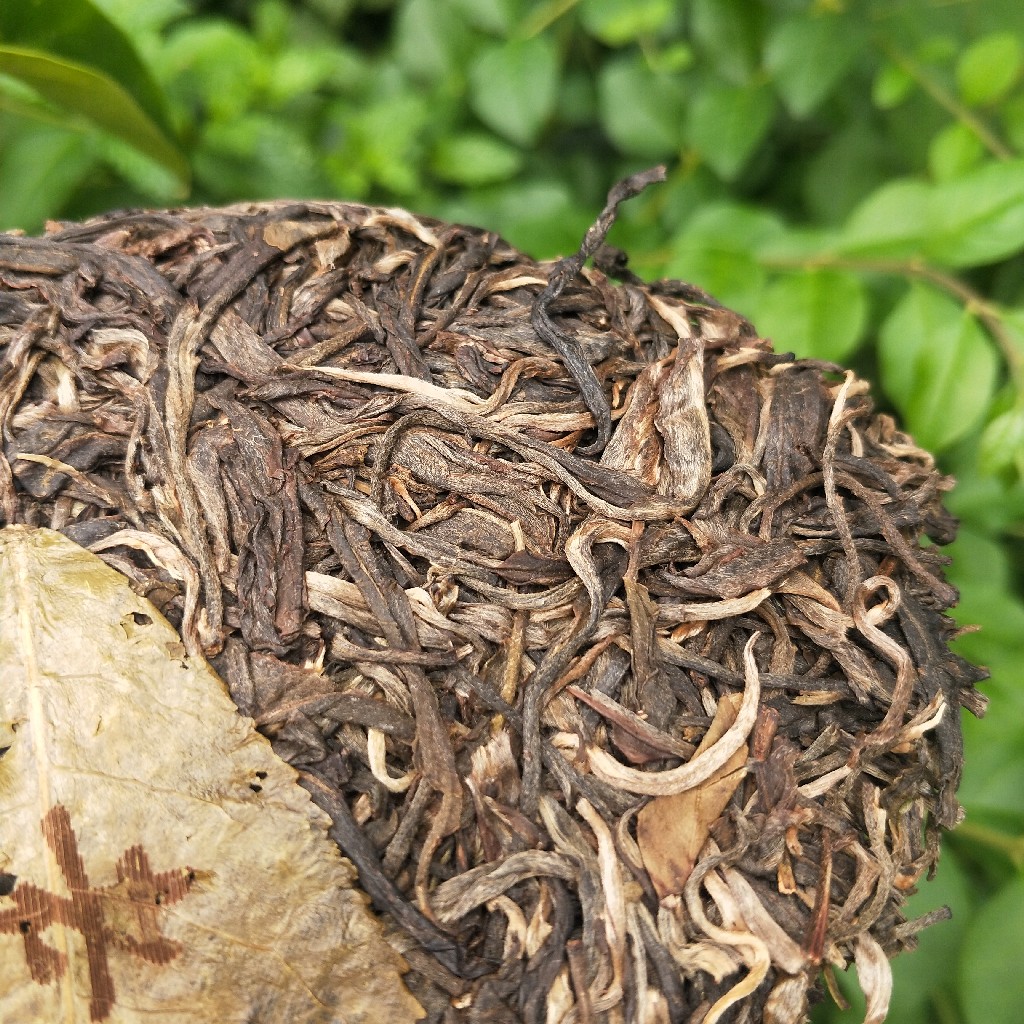 2023年班盆古樹春茶多少錢一公斤？