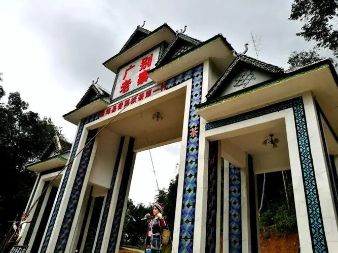 2023年廣別老寨古樹春茶品質(zhì)如何？