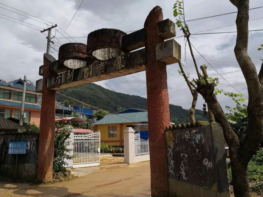 2023年廣別老寨古樹春茶價(jià)格多少？