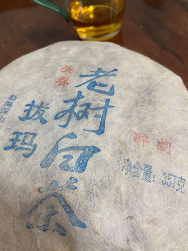 2023年拔瑪老寨古樹春茶口感如何？