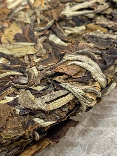 2023年拔瑪老寨古樹春茶特點(diǎn)是什么？