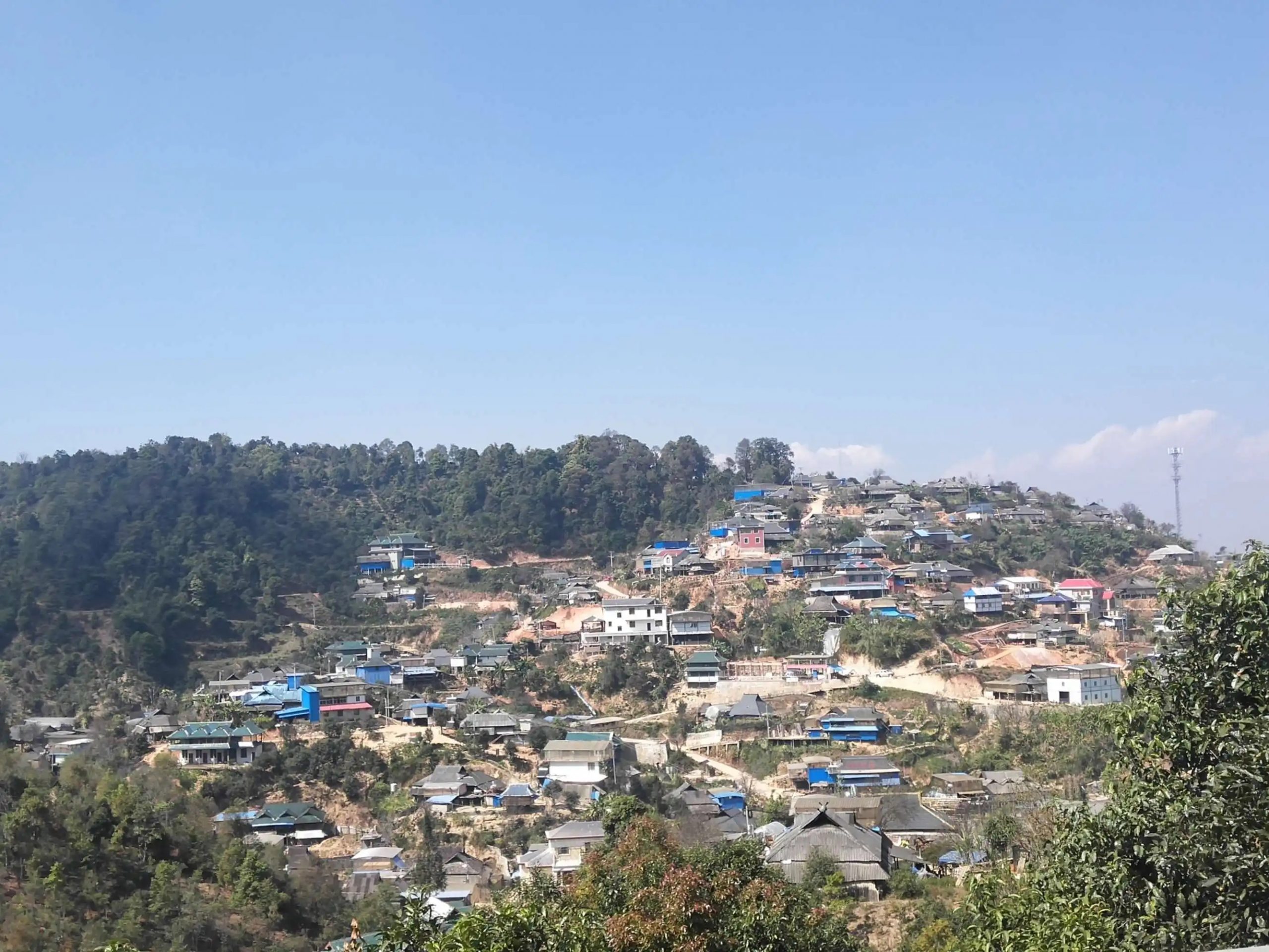 2023年帕沙古樹春茶品質(zhì)如何？