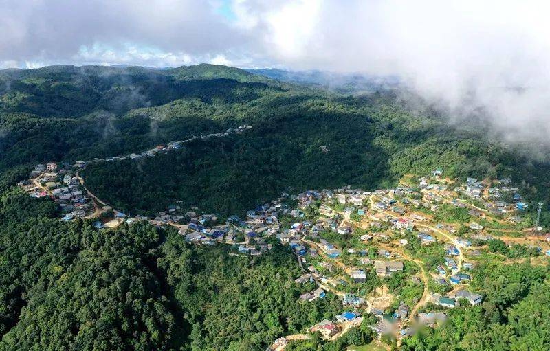 2023年帕沙古樹春茶口感怎么樣？