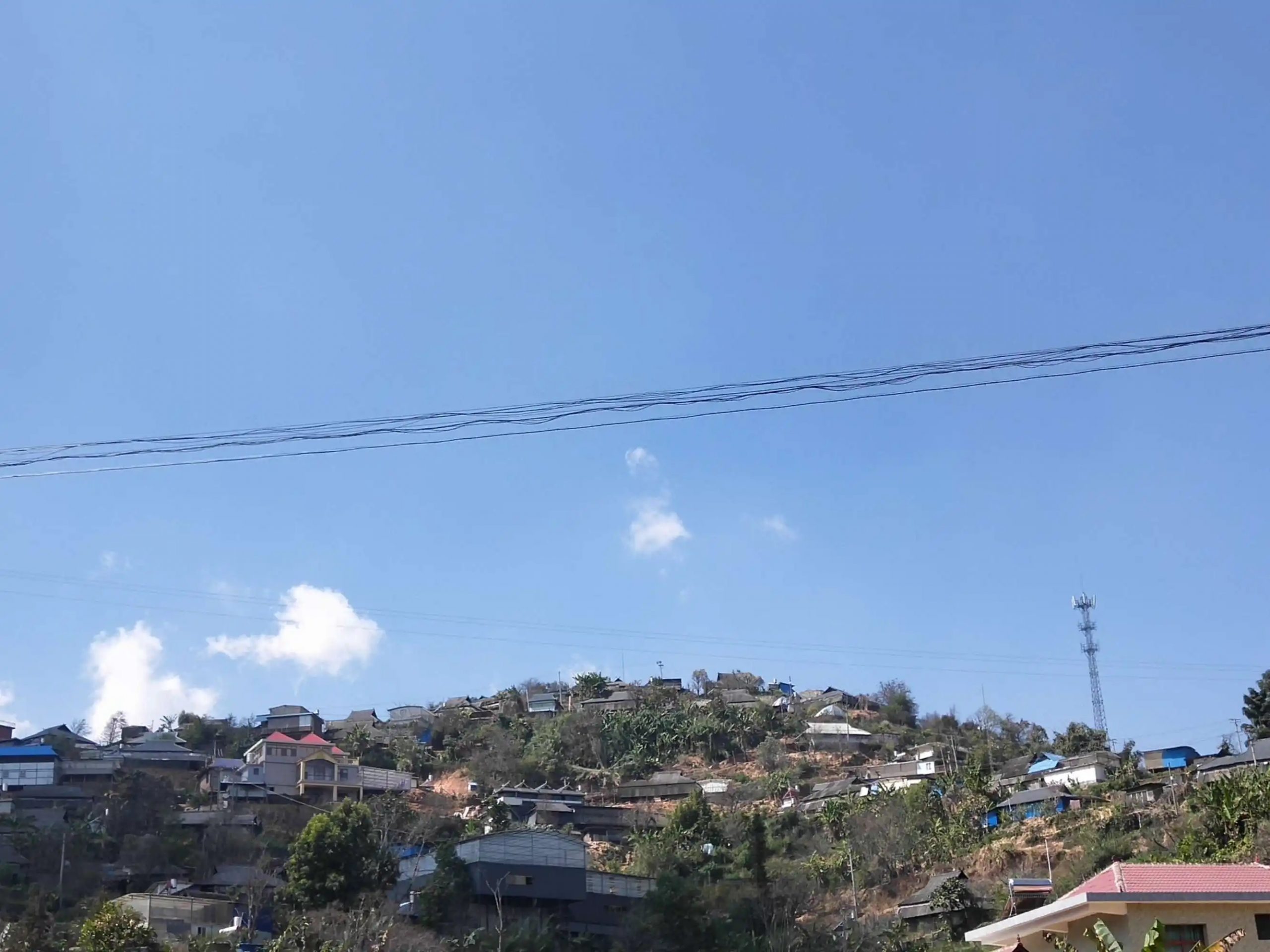 2023帕沙古樹春茶特點(diǎn)是什么？