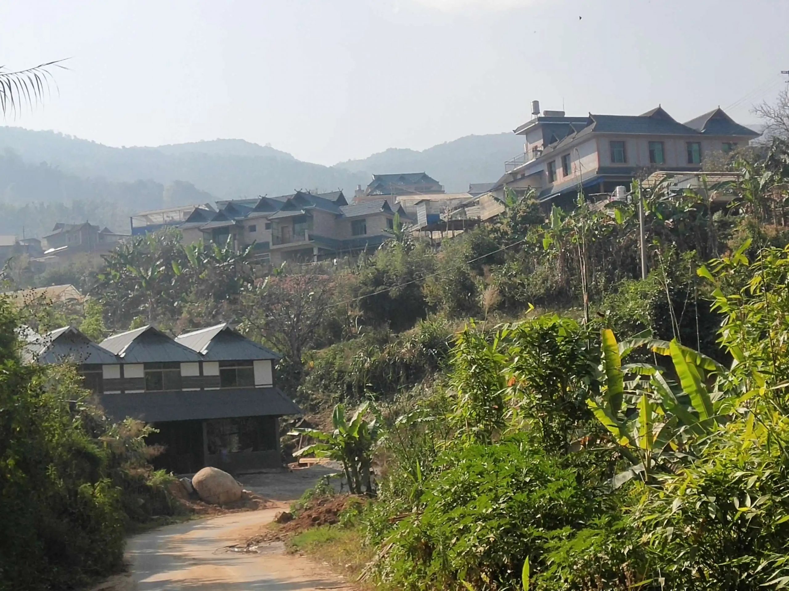 2023年帕沙古樹春茶價格多少錢？