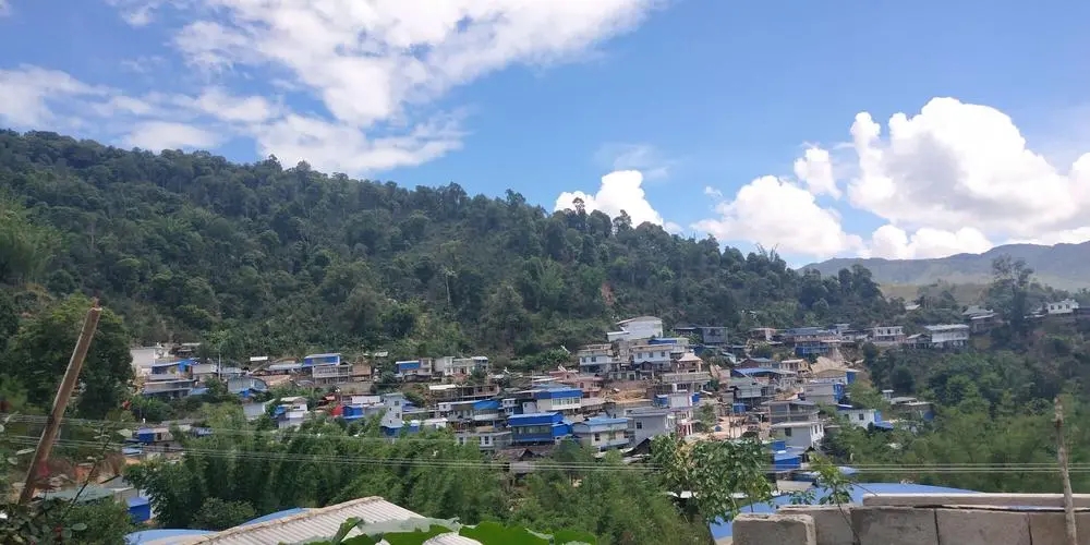 2023年那卡古樹春茶品質(zhì)如何？