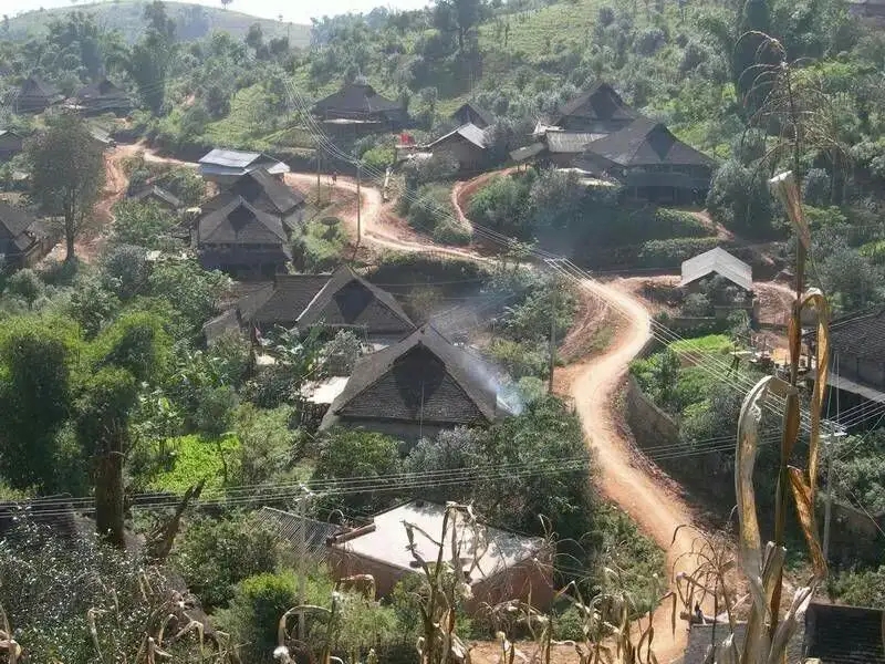 2023年保塘老寨古樹春茶品質(zhì)如何？