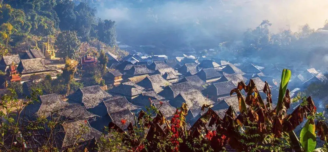 2023年景邁古樹春茶品質(zhì)如何？