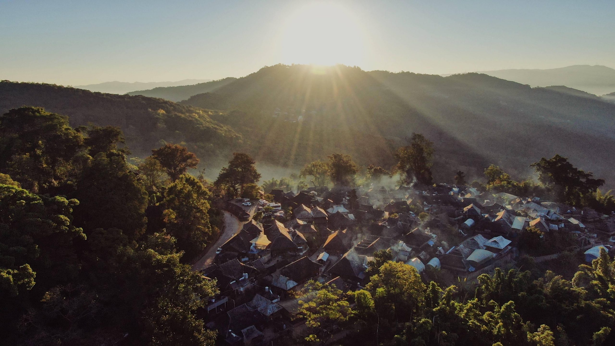 2023年景邁古樹春茶多少錢一公斤？