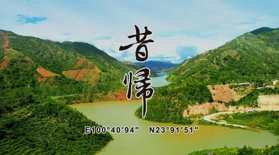 2023年昔歸古樹春茶品質(zhì)如何？