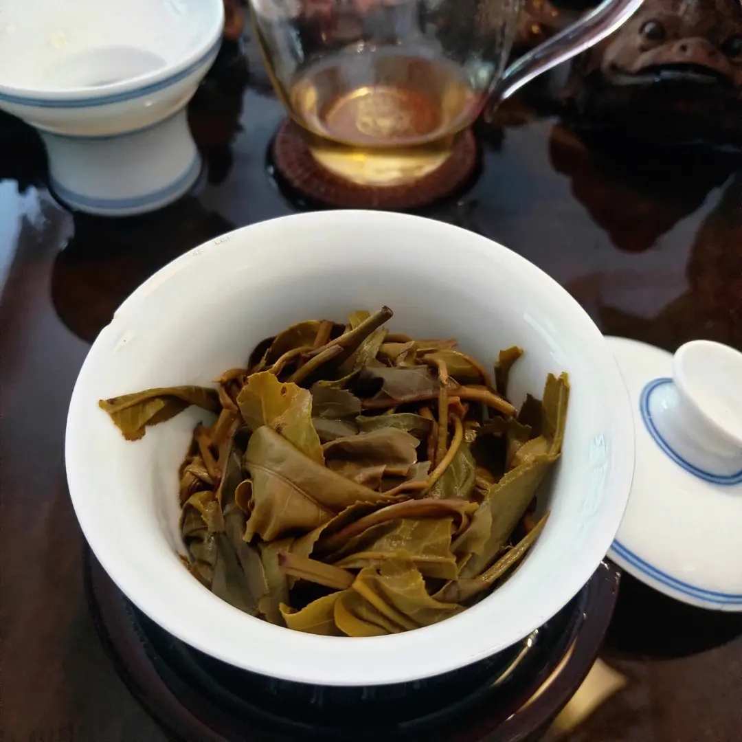 2023年昔歸古樹春茶口感如何？