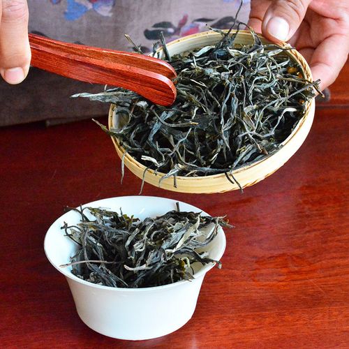 2023年地界古樹春茶口感是什么？