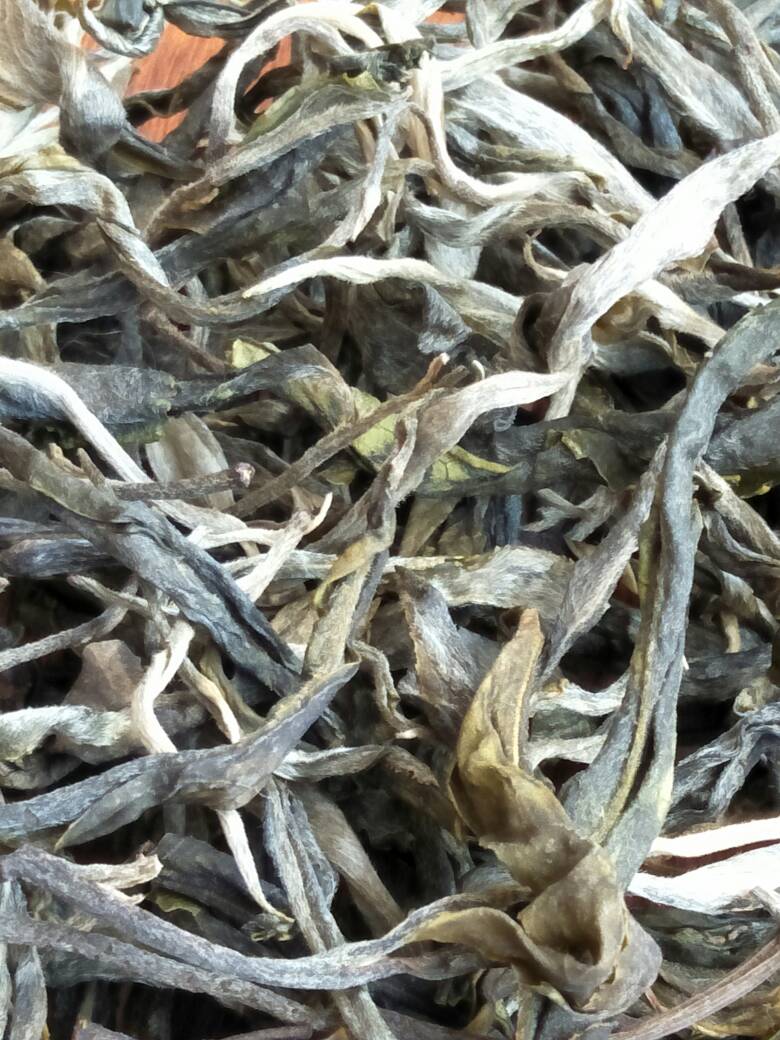 2023年壩歪古樹春茶價(jià)格是多少？