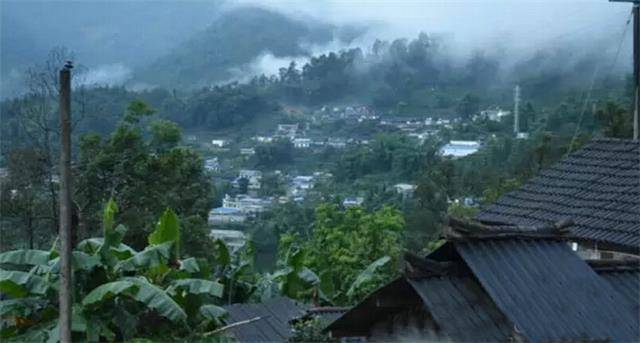 2023年勐庫豆腐寨古樹春茶口感怎么樣？