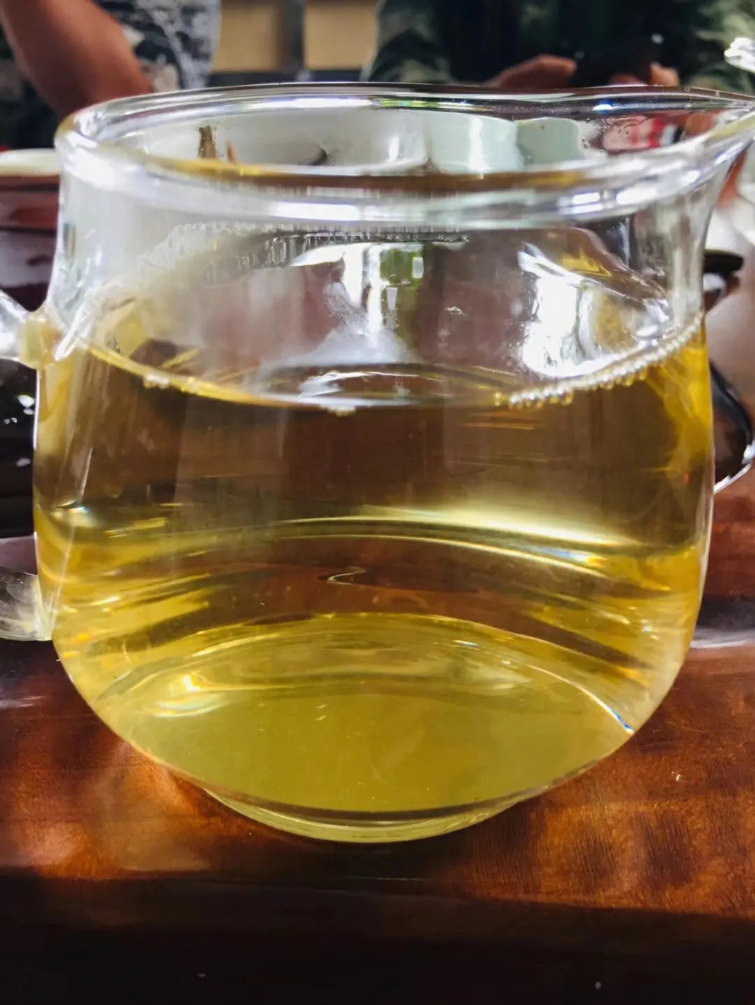 2023年鎮(zhèn)沅老海塘古樹春茶品質(zhì)怎么樣？