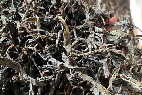 2023年鎮(zhèn)沅老烏山古樹春茶多少一公斤？