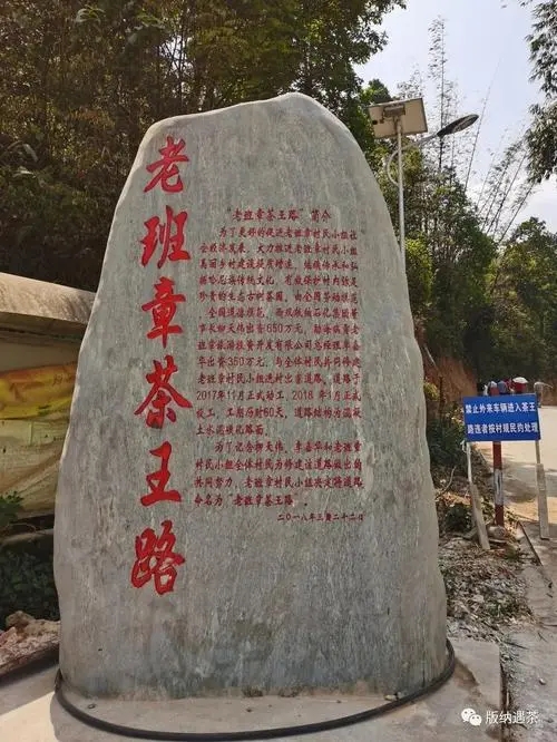 2024年老班章古樹春茶品質(zhì)如何？