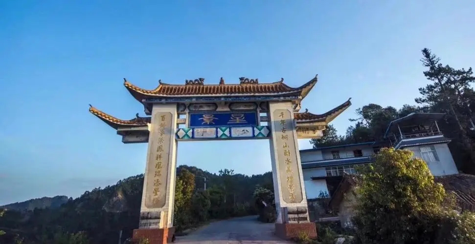 2024年墨江鳳凰窩古樹春茶特點(diǎn)是什么？