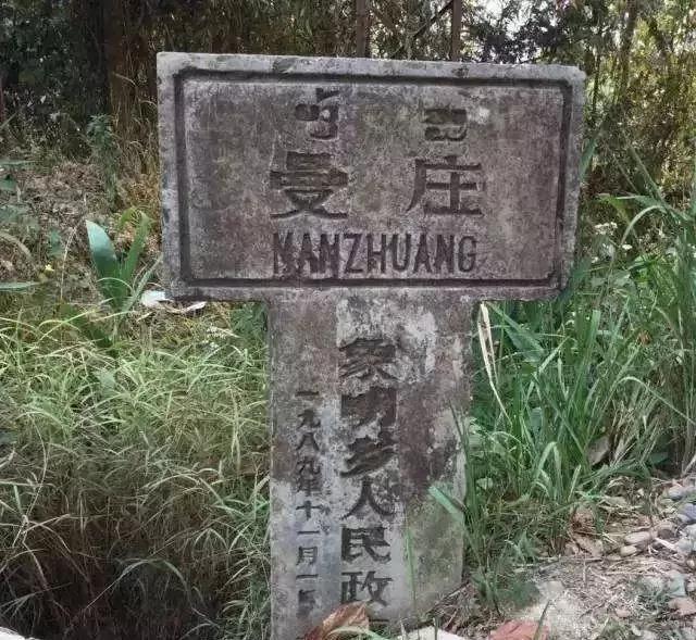 2025年蠻磚古樹(shù)春茶價(jià)格是多少？